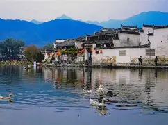  鹏迈网球俱乐部 -九游jiuyou娱乐app